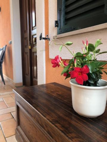 Il Giardino Delle Rose Apartment Spello Luaran gambar