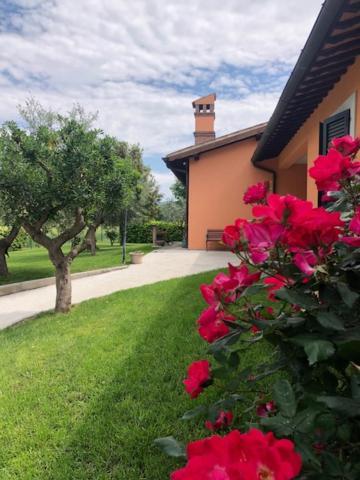Il Giardino Delle Rose Apartment Spello Luaran gambar